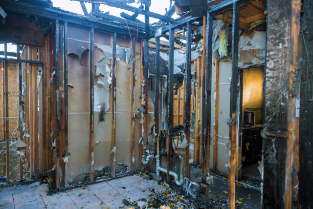 Professional Fire Damage Removal technician working in Leetsdale, PA